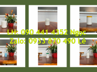 Hủ nhựa 250g đựng mỹ phẩm, hủ nhựa 100g đựng kẹo trẻ em