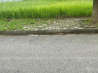 CẦN CHO BÁN ĐẤT NỀN PHỐ NỐI HOUSE, HƯNG YÊN.
