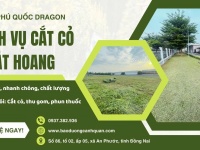  Nhận cắt cỏ khu dân cư, đất dự án, đô thị