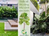 Dịch vụ cảnh quan cải tạo cảnh quan nâng tầm không gian sống