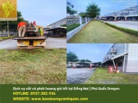 Dịch Vụ Cắt Cỏ Phát Hoang Tại Đồng Nai, TP.HCM Bạn đang đau đầu vì cỏ dại mọc um tùm trên đất dự án,