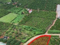 CẦN BÁN LÔ ĐẤT ĐẸP – VỊ TRÍ TIỀM NĂNG TẠI XÃ MÊ LINH - TỈNH LÂM ĐỒNG
