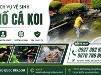 NHẬN VỆ SINH HỒ CÁ KOI TẠI NHÀ GIÁ CẢ HỢP LÝ