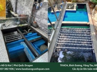 NHẬN VỆ SINH HỒ CÁ KOI TẠI NHÀ GIÁ CẢ HỢP LÝ