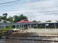 Bán Đất Làng Hoa Sa Đéc- Mặt Tiền đường Phùng Khắc Khoan 720m2, giá 4,5 tỷ