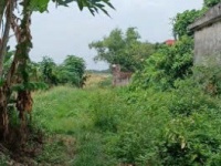 Chính chủ bán đất ở đô thị 240m2 – 2 mặt tiền tại Xã Nghĩa Đạo, Thuận Thành, Bắc Ninh – Mr.Hữu