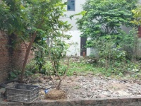 Đất đẹp thôn Thượng Thụy, Đức Thượng, Hoài Đức - Cơ hội an cư và đầu tư tiềm năng - Vị trí thuận lợi