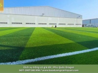 Giải pháp cỏ sân golf chuyên nghiệp - Nâng tầm đẳng cấp sân golf 