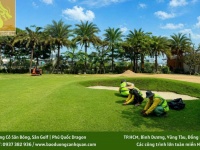 Giải pháp cỏ sân golf chuyên nghiệp - Nâng tầm đẳng cấp sân golf 