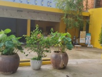 CHÍNH CHỦ CHO THUÊ MẶT BẰNG KINH DOANH và NHÀ Ở HƠN 500m² – VỊ TRÍ ĐẸP TẠI CẦN GIỜ