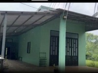 CHÍNH CHỦ BÁN HOẶC CHO THUÊ NHÀ VƯỜN 1.600m² – KHÔNG GIAN XANH LÝ TƯỞNG CHO NGHỈ DƯỠNG, LÀM
