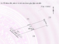 ĐẤT CHÍNH CHỦ GẦN 3HA MẶT TIỀN ĐƯỜNG DH502 – GIÁ  TỐT - KHÔNG QUA TRUNG GIAN.
