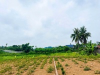 HOT HOT – CHÍNH CHỦ CẦN BÁN ĐẤT THỔ CƯ Xã Tu Vũ, huyện Thanh Thủy, tỉnh Phú Thọ