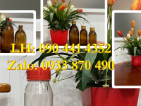 Chai thủy tinh 1 lít, vỏ chai thủy tinh 500ml, chai thủy tinh 250ml đựng nước giải khát có gas