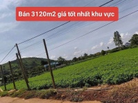 Bán 3120m2 đất xã Tân Hội Đức Trọng Lâm Đồng 4 tỷ