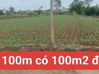 Bán 3120m2 đất xã Tân Hội Đức Trọng Lâm Đồng 4 tỷ
