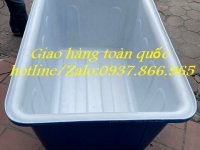 Bồn 2 lớp, Thùng đựng hóa chất có 2 lớp, thùng dung tích 500l