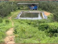 HOT HOT – CHÍNH CHỦ CẦN BÁN 7HA ĐẤT RẪY X. Đắk Gằn, H. Đắk Mil, T. Đắk Nông