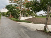 ĐẤT ĐẸP – GIÁ TỐT- CHÍNH CHỦ CẦN BÁN ĐẤT Tại  Xã Tân Lân, Huyện Cần Đước, Long An