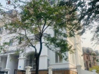 CHÍNH CHỦ cho thuê nhà nguyên căn tại khu lideco, Hoài Đức, Hà Nội