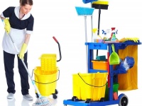 DỊCH VỤ VỆ SINH CHUYÊN NGHIỆP TRÀNG AN – NHANH CHÓNG – SẠCH SẼ – GIÁ HỢP LÝ