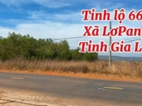 ĐẤT MẶT TIỀN TỈNH LỘ 666, GIA LAI – VỊ TRÍ ĐẦU TƯ CỰC TỐT