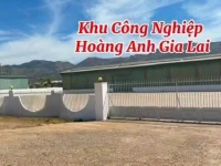 ĐẤT MẶT TIỀN TỈNH LỘ 666, GIA LAI – VỊ TRÍ ĐẦU TƯ CỰC TỐT