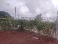 Chính chủ bán 2 lô đất liền kề đối diện KCN Đất Đỏ - Mỗi lô 173m2, gần biển, chỉ 2,8 tỷ 1 lô