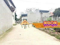Chính chủ bán lô góc Tam Dương, Vĩnh Phúc 111m2 - Băng 2 ĐT306, Băng 2 ĐT309, đầu tư sinh lời hấp