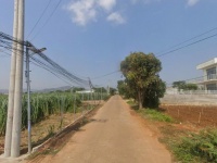 Bán đất Liên Nghĩa Lâm Đồng giá 2ty9-  DT242m2