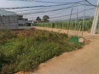 Bán nhanh lô đất Phú Hội, Đức Trọng giá rẻ chỉ 800 triệu đồng.