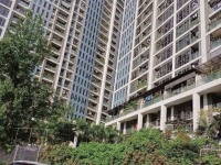 CẦN BÁN CĂN HỘ CAO CẤP TSQ EUROLAND – LÀNG VIỆT KIỀU CHÂU ÂU, MỖ LAO, HÀ ĐÔNG