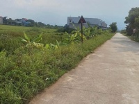 Chính chủ cần bán lô đất cạnh trường Tiểu học Đại Hoàng (xã Gia Trung cũ), Xã Đại Hoàng, Ninh Bình