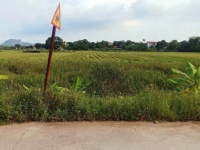 Chính chủ cần bán lô đất cạnh trường Tiểu học Đại Hoàng (xã Gia Trung cũ), Xã Đại Hoàng, Ninh Bình
