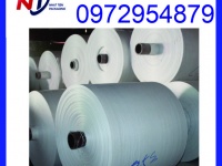 Manh PP dệt dạng cuộn, manh PP có tráng, manh PP không tráng