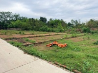 Em Dũng Land đang bán đất đẹp Thắng Hữu, Kim Anh, Hà Nội - Nhiều lựa chọn chỉ từ hơn 2 tỷ đồng