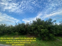 ĐẦU TƯ SINH LỜI – CHÍNH CHỦ CẦN BÁN ĐẤT Tại  Xã Trường Đông, thị xã Hòa Thành, tỉnh Tây Ninh