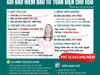 Tư vấn viên chuyên tư vấn gói bảo hiểm gia đình Dai-ichi Life phù hợp tại Quận 2