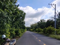 ĐẤT ĐẸP- GIÁ TỐT BÁN NHANH 2 LÔ ĐẤT ĐẦU TƯ LÀ SINH LỜI tại huyện Bàu Bàng, Bình Dượng