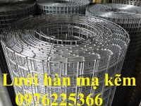 Lưới thép mạ kẽm ô 30x30