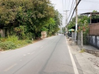 Chính chủ bán nhà mặt tiền Nhị Bình 8, Hóc Môn 100m2, đường thông, gần chợ, giá 2,6 tỷ
