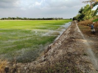 CƠ HỘI ĐẦU TƯ GIÁ TỐT - Chính Chủ Bán 2 Mảnh Đất Nông Nghiệp xã Tân Phú Trung, Châu Thành, Đồng Tháp