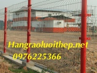 Hàng rào lưới thép tại Phú Thọ