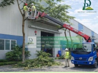 Dịch vụ Cắt cỏ, Cắt tỉa và Chăm sóc cây xanh nhà xưởng KCN Bình Dương