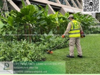 DỊCH VỤ CẮT CỎ – CHĂM SÓC CÂY XANH KCN LỘC AN BÌNH SƠN ĐỒNG NAI