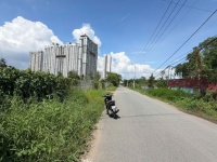 Hàng ngộp mặt tiền Đào Trí Quận 7 hơn 6.000m2 - Có dòng tiền cho thuê, giá cực tốt thị trường