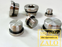 Nút bịt inox BSPP