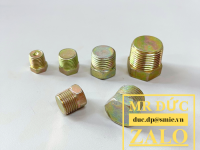 Nút bịt inox BSPP