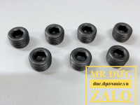 Nút bịt inox BSPP