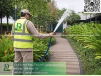 DỊCH VỤ CẮT CỎ – CƯA CÂY BÌNH DƯƠNG | NHANH CHÓNG – AN TOÀN – CHUYÊN NGHIỆP